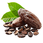 Cocoa Husk
