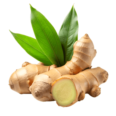 Ginger