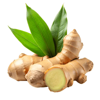 Ginger